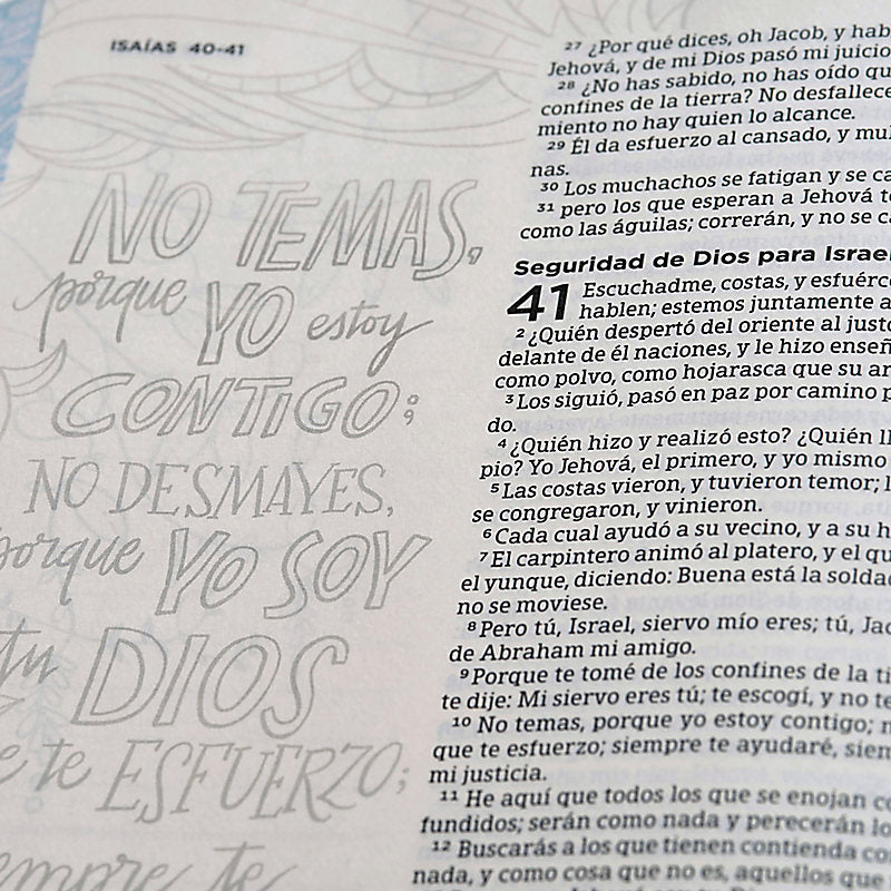 RVR 1960 Biblia de apuntes, edición ilustrada, tela en rosado y azul