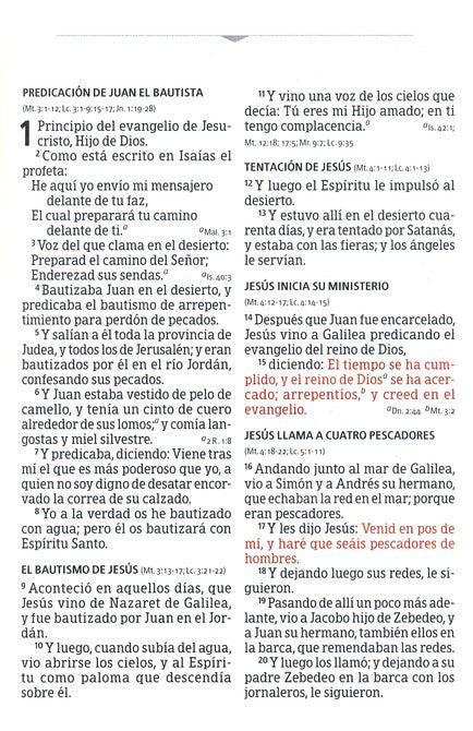 BIBLIA RVR1960 LETRA GRANDE TAMAÑO MANUAL | TAPA VINILO BORGOÑA