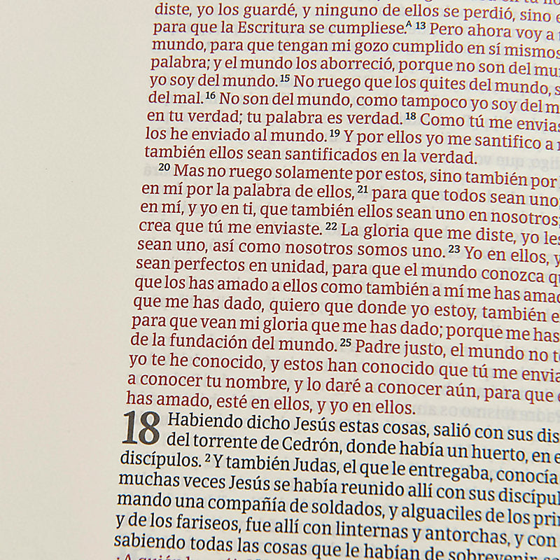 RVR 1960 Biblia de apuntes edición letra grande, piel fabricada y mosaico crema y azul