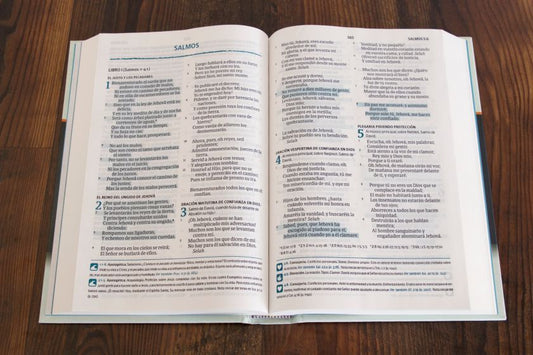 RVR 1960 Biblia del Pescador letra grande, tapa dura