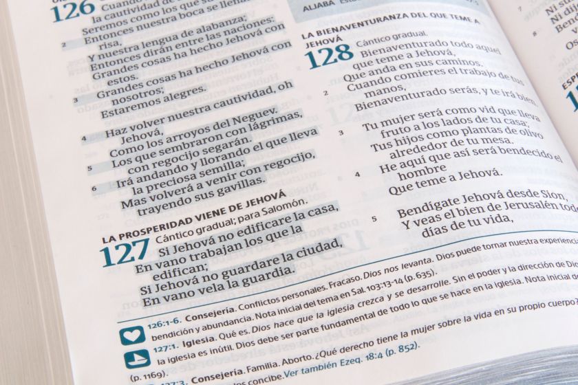RVR 1960 Biblia del Pescador letra grande, azul símil piel