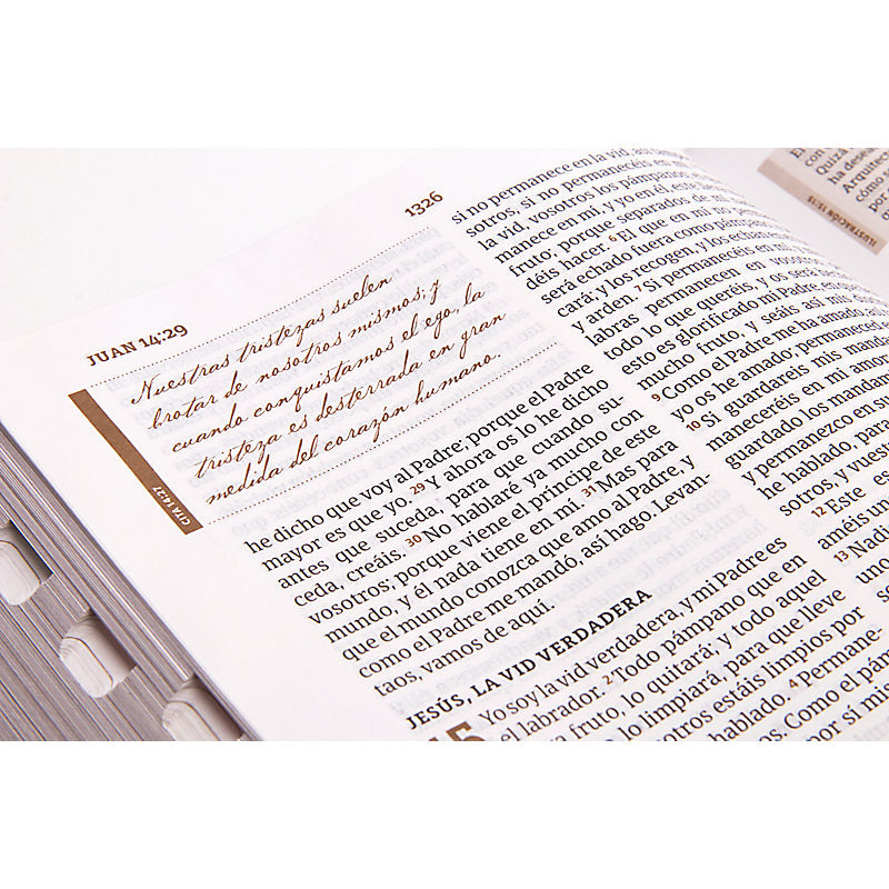 RVR 1960 Biblia de estudio Spurgeon, negro piel genuina con índice