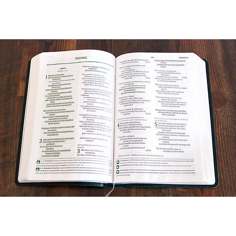 NVI Biblia del Pescador letra grande, verde símil piel