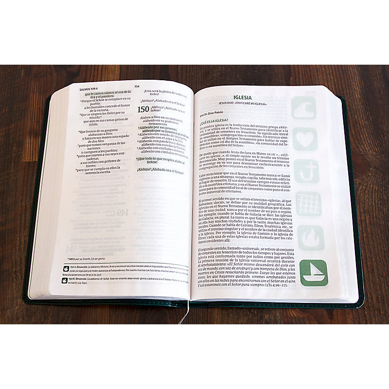 NVI Biblia del Pescador letra grande, verde símil piel