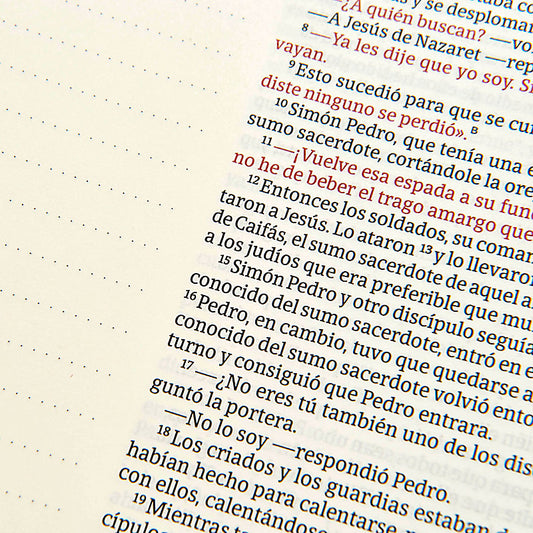 NVI Biblia de Apuntes blanco y azul símil piel
