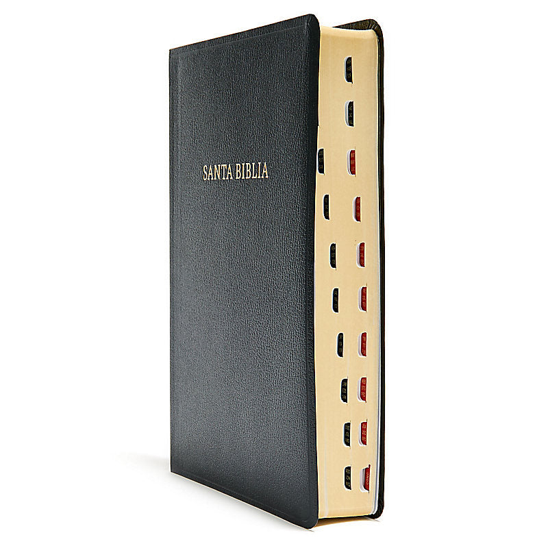 RVR 1960 Biblia letra súper gigante, negro imitación piel