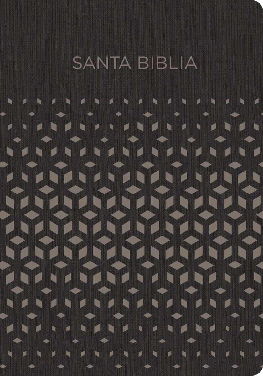 RVR 1960 Biblia para regalos y premios, negro/plata símil piel