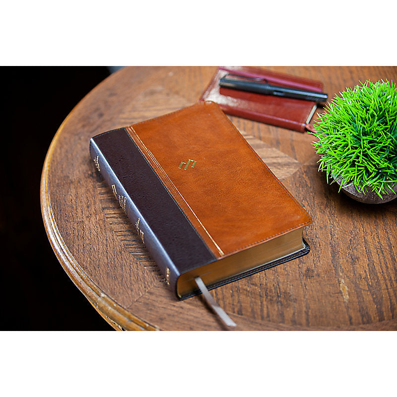 RVR 1960 Biblia temática de estudio, marrón oscuro/marrón piel fabricada