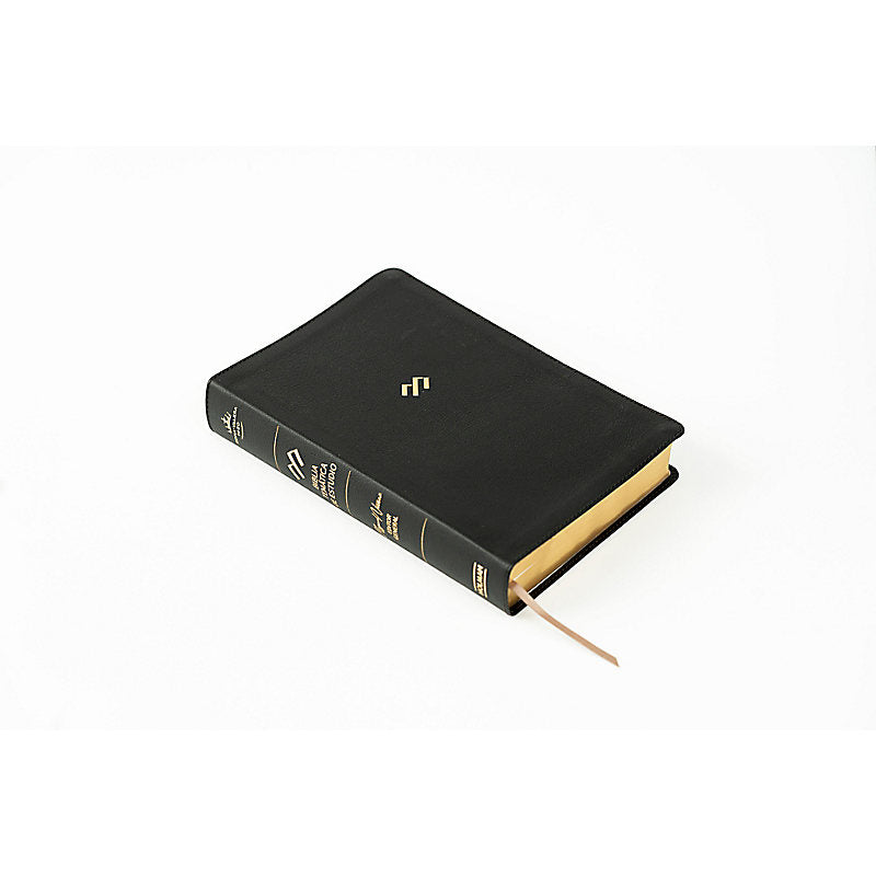 RVR 1960 Biblia temática de estudio, negro piel genuina
