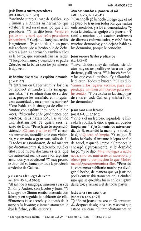 BIBLIA RVR1960 TAMAÑO MANUAL LETRA GRANDE - FLORES | NOMBRES DE DIOS