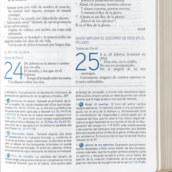BIBLIA DE ESTUDIO DEL MENSAJE PROFÉTICO Y ESCATOLÓGICO Piel fabricada Negra