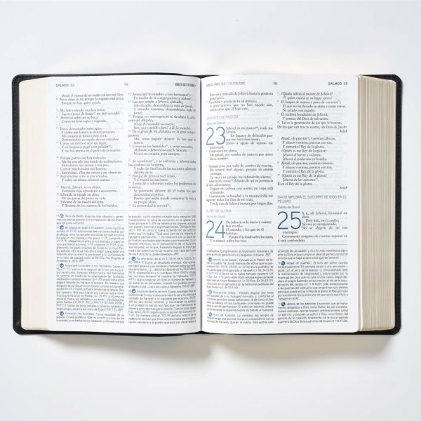 BIBLIA DE ESTUDIO DEL MENSAJE PROFÉTICO Y ESCATOLÓGICO Piel fabricada Negra