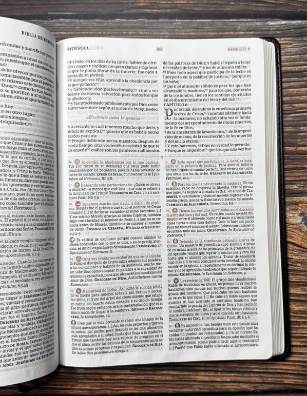 Biblia de Estudio Patrística (Imitación Piel Marrón / Sin índice)