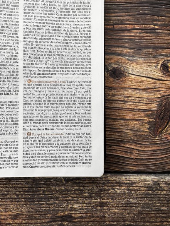 Biblia de Estudio Patrística (Imitación Piel Marrón / Sin índice)