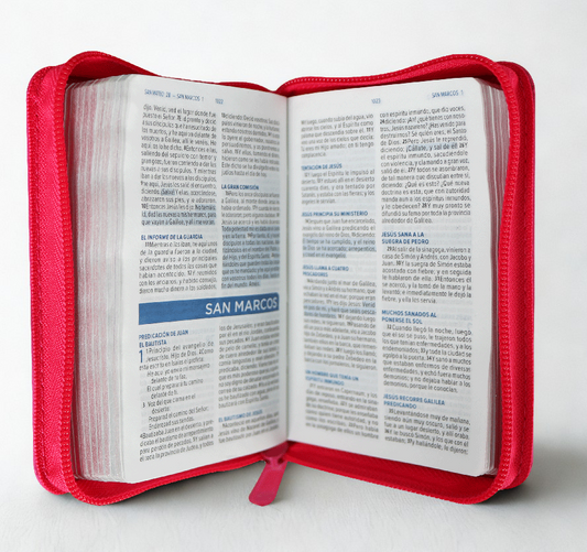 Biblia RVR 1960 Biblia mini de bolsillo con cierre – Fucsia