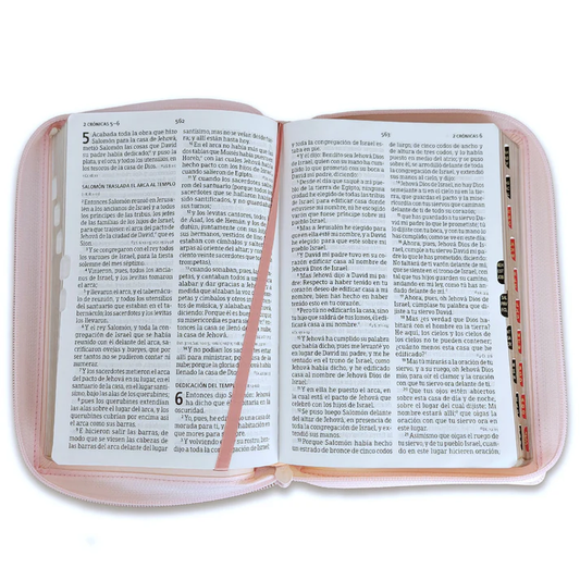 Biblia RVR 1960 Letra grande Manual Imitación piel durazno con índice y Cierre