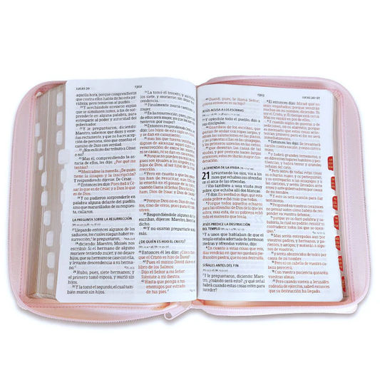 Biblia RVR 1960 Letra grande Manual Imitación piel Rosa con índice y Cierre