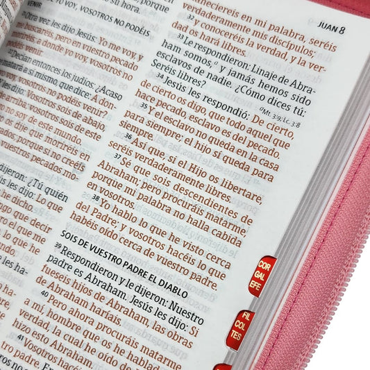 RVR1960 Biblia Tamaño Manual Letra Grande con Índice y Cierre