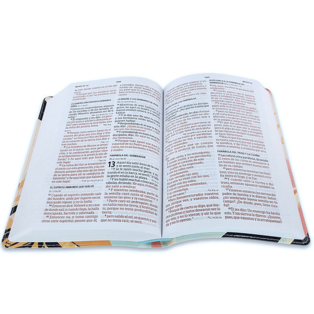 Biblia RVR 1960 letra grande tamaño manual edición especial, multicolor, símil piel