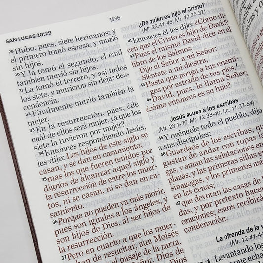 Biblia RVR 1960 clásica marrón, letra Súper Gigante