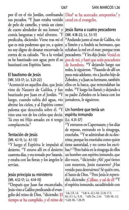 Biblia RVR 1960 Letra gigante, símil piel azul con Pájaros