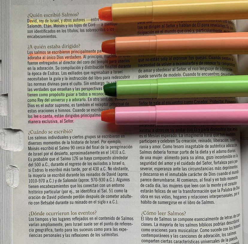 Destacador para Biblia | pack 12