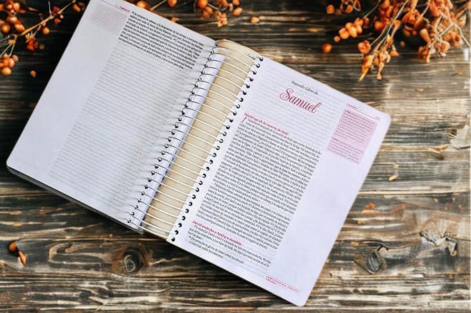 Biblia Reina Valera 1960 Letra Grande Tapa Dura Espiral