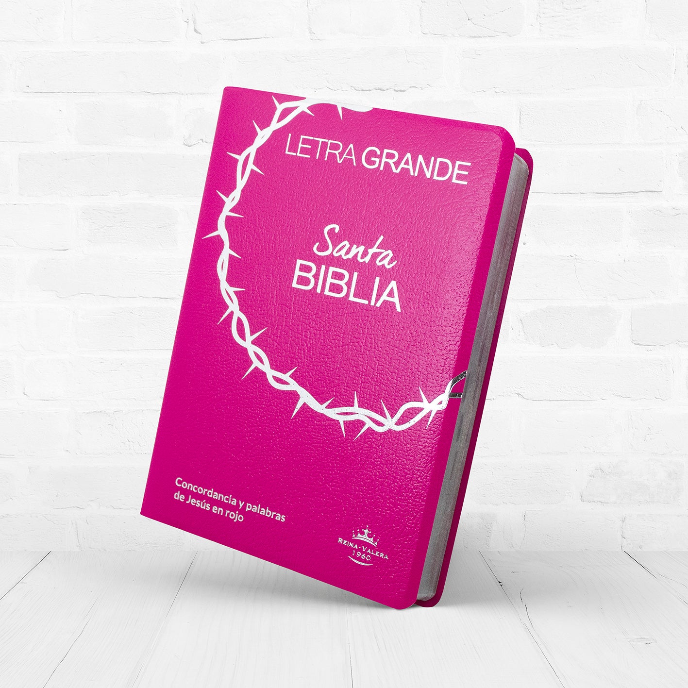 Biblia RVR1960 Letra Grande 12 puntos | Fucsia