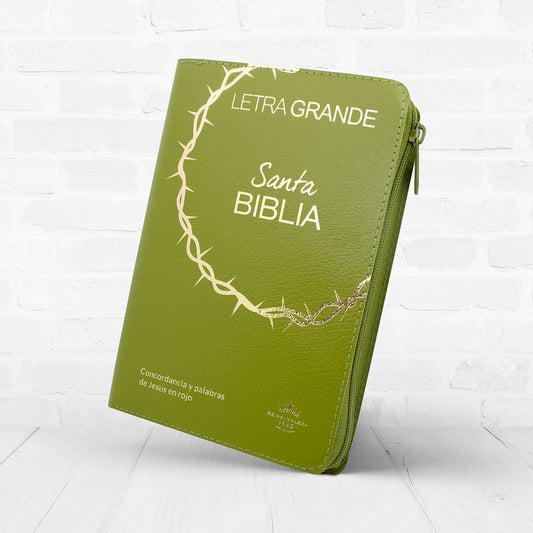 Biblia RVR1960 Letra Grande 12 puntos con estuche e índice