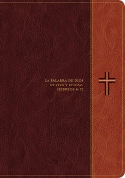 RVR 1960 Biblia de estudio del diario vivir, símil piel - letra grande