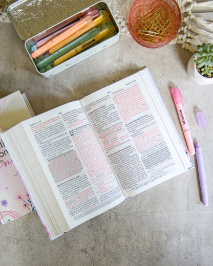 Biblia de Promesas para niñas NTV