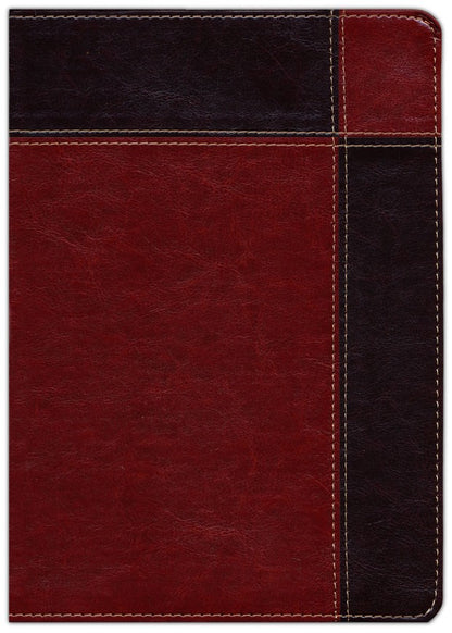 Biblia de estudio Ryrie ampliada RVR1960 Duo-tono marrón