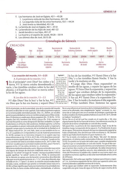 Biblia de estudio Ryrie ampliada RVR1960 Duo-tono marrón