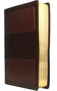 RVR 1960 Biblia de Estudio vida plena, imitación piel duo-tono marrón