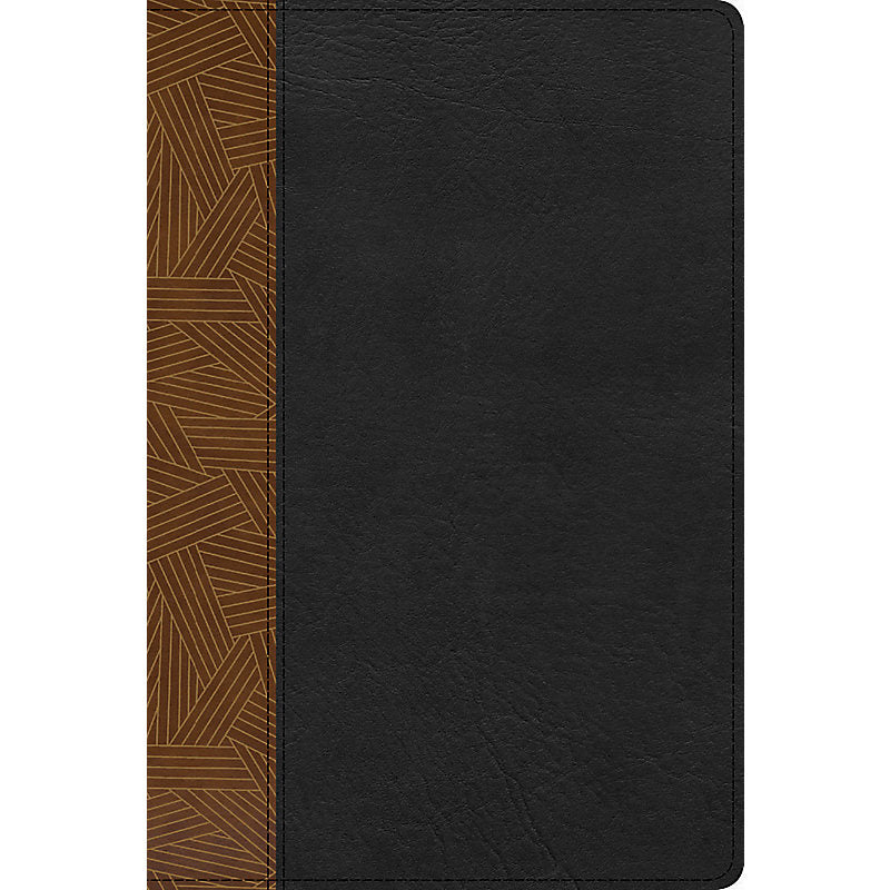 RVR 1960 Biblia de Estudio Arcoiris, tostado/negro símil piel con índice