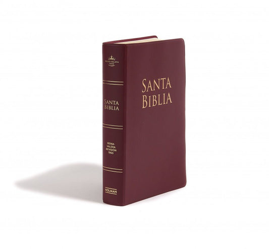 BIBLIA RVR1960 LETRA GRANDE TAMAÑO MANUAL BORGOÑA