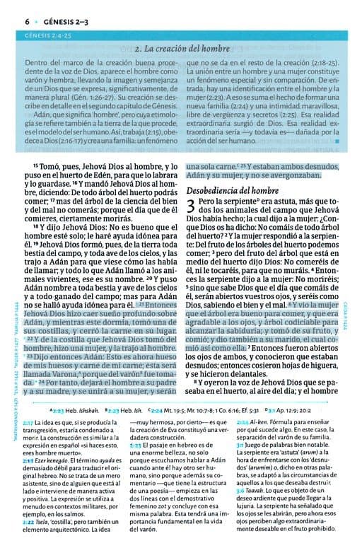 RVR 1960 Biblia de estudio de César Vidal, café símil piel