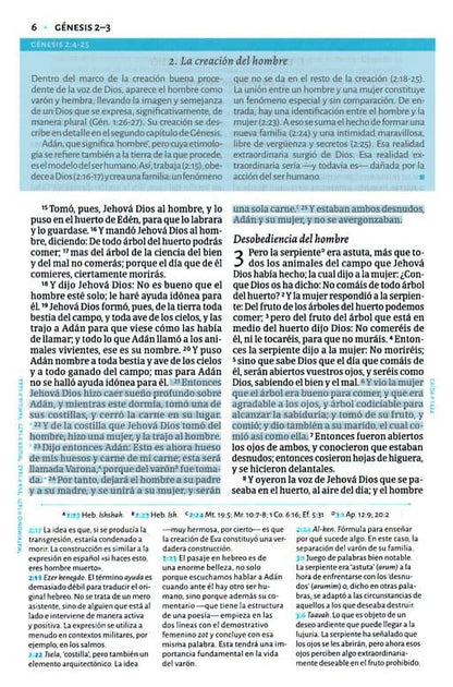 RVR 1960 Biblia de estudio de César Vidal, café símil piel