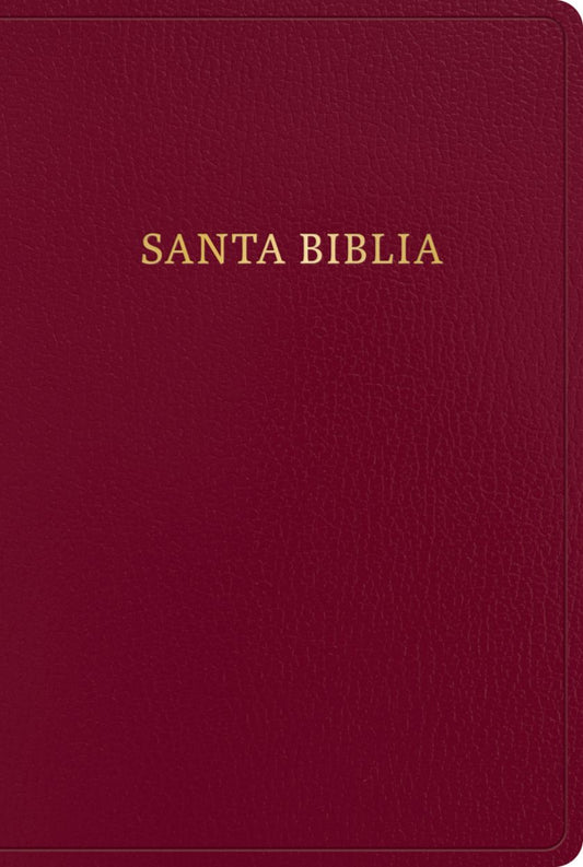 RVR 1960 Biblia letra gigante, borgoña, imitación piel con índice