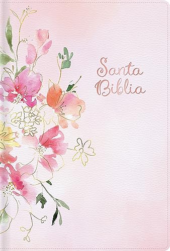 RVR 1960 Biblia letra grande tamaño manual edición especial, rosa símil piel