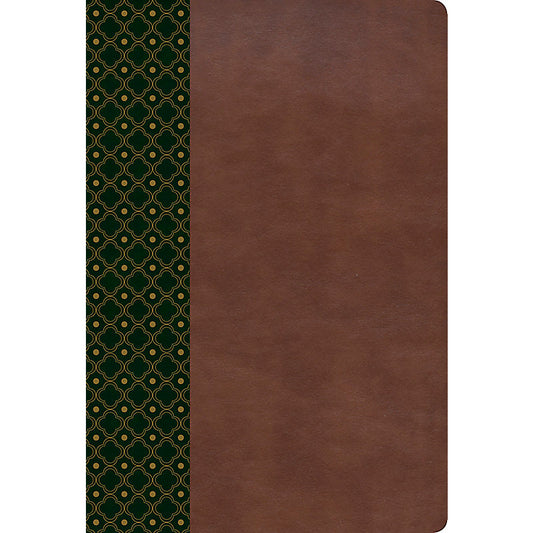 RVR 1960 Biblia de Estudio Scofield, verde oscuro/castaño símil piel