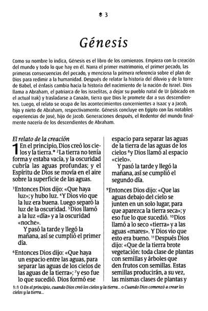 Biblia compacta NTV, letra gigante con Filament | SentiPiel, Turquesa floral