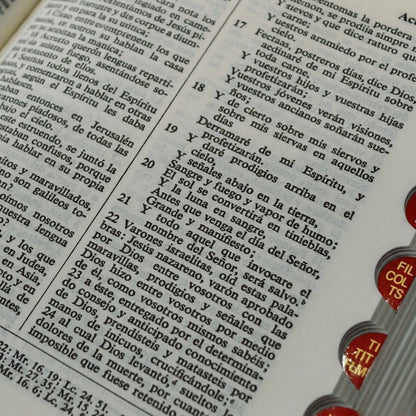 Biblia Reina Valera 1960 Compacta Con Cierre E Índice