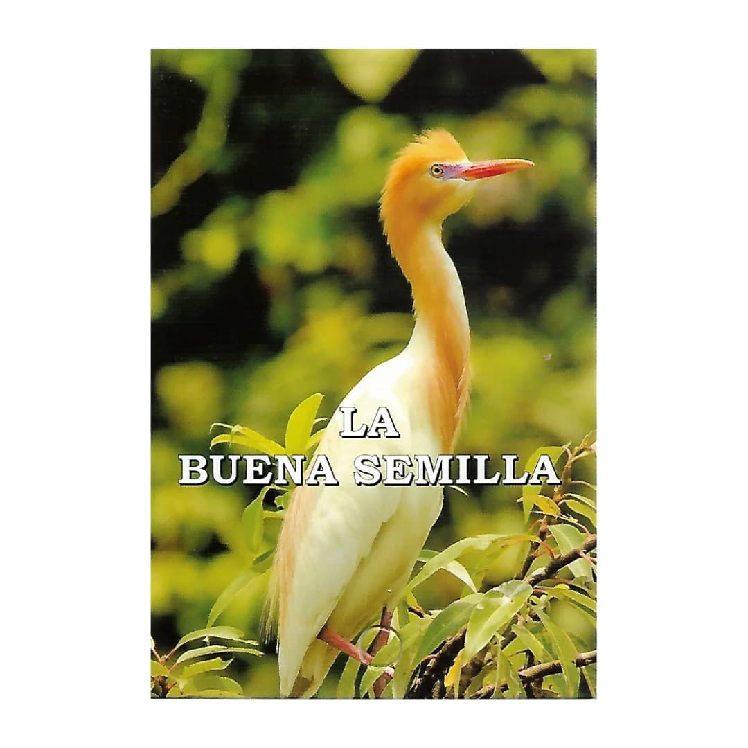 Devocional La Buena Semilla 2026