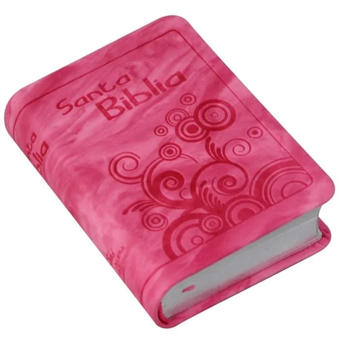Biblia RVR 1960 Biblia mini de bolsillo – Fucsia
