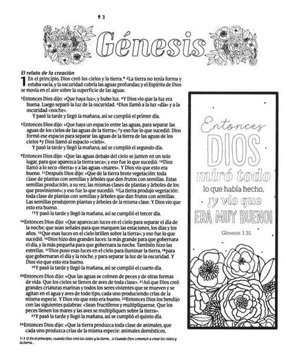 Biblia Inspira NTV con Filament- ACUARELA ROSA