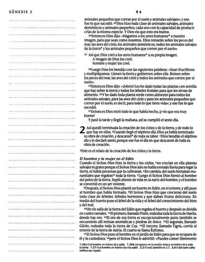 Biblia Inspira NTV con Filament- ACUARELA ROSA