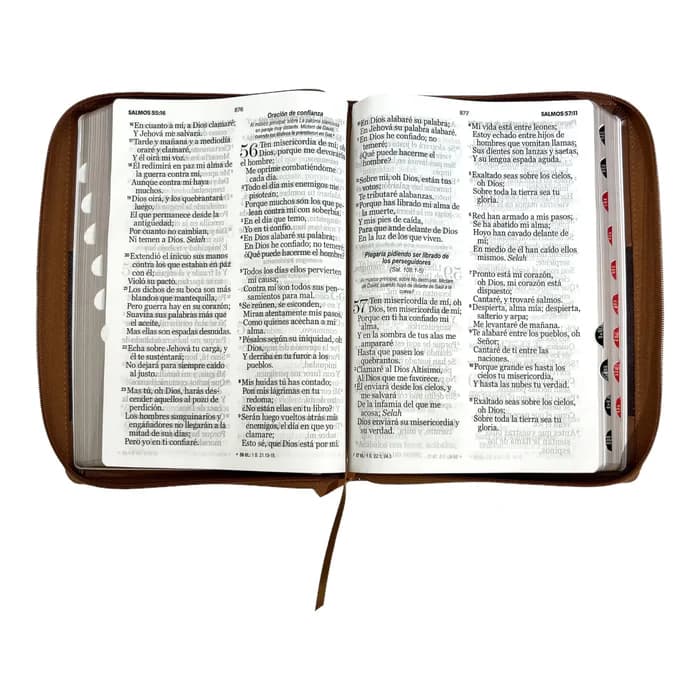 Biblia Reina Valera 1960, tamaño Súper Gigante, Letra Súper Gigante 19 puntos. Imitación Piel café/café. Con cierre y con índice