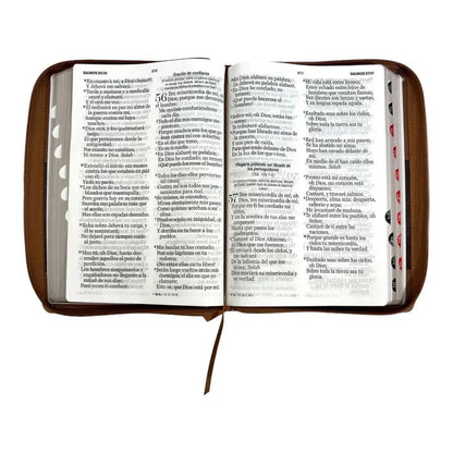 Biblia Reina Valera 1960, tamaño Súper Gigante, Letra Súper Gigante 19 puntos. Imitación Piel café/café. Con cierre y con índice