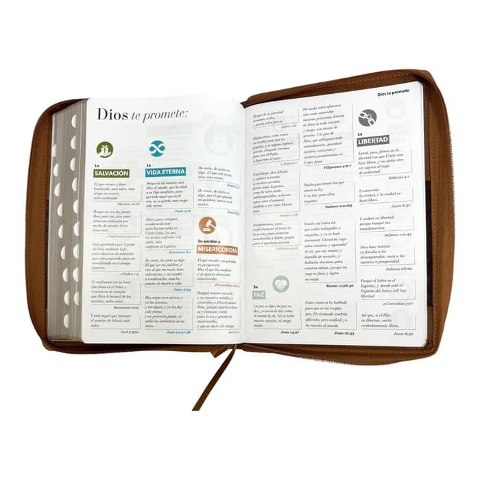 Biblia Reina Valera 1960, tamaño Súper Gigante, Letra Súper Gigante 19 puntos. Imitación Piel café/café. Con cierre y con índice